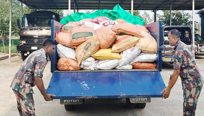 বিজিবির অভিযানে ভারতীয় জিরা ও গরু জব্দ